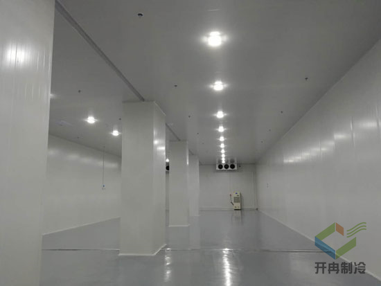 藥品冷凍庫建造安裝設計的特點及優(yōu)勢是哪些？