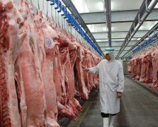 我想建個(gè)800噸肉類冷庫(kù)，一共需要多少錢