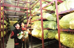 蔬菜冷庫能保鮮多久,造價是多少