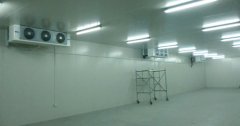 5000噸大蒜需建多大冷庫,冷庫造價多少錢