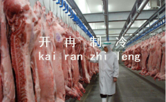 上海1000噸肉類冷庫設(shè)計(jì)，冷庫造價(jià)需要多少