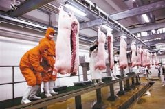 冷庫造價應該如何計算?1000噸凍肉冷庫大概多少錢?