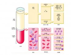 -30℃~-80℃血漿蛋白低溫冷凍庫規范,冷庫安裝價格