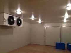 220V能建冷庫(kù)多大？（低溫冷庫(kù)）
