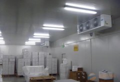 2000平食品冷凍庫設計,-18℃海鮮冷凍品冷凍庫造價