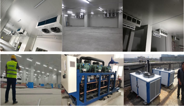 http://www.yangwei5.cn/gongchenganli/shipin/1230.html