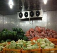 50噸蔬菜保鮮庫決定造價(jià)的因素有哪些？
