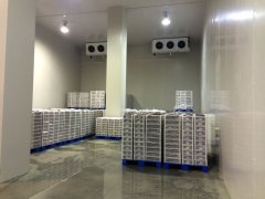 3000平果蔬保鮮庫規劃設計,冷庫總投資成本多少